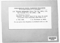Image Associated With the Occurence
